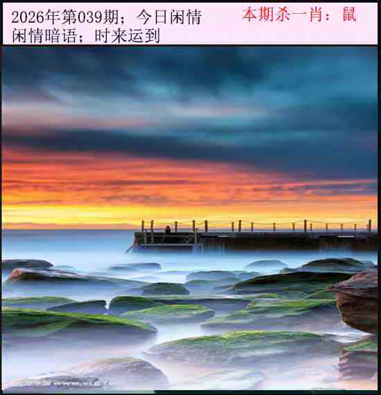 039期今日闲情[图]
